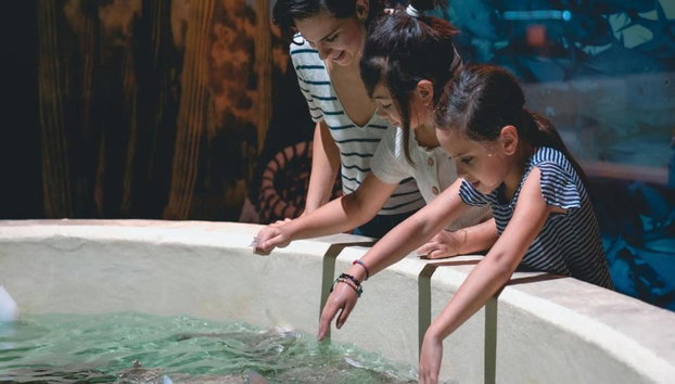 Houston City Tour & Aquarium - Foto 5